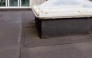 disadvantages of Ottinge flat roofs