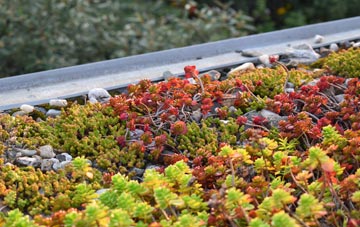 the cost of Ottinge green roof installation