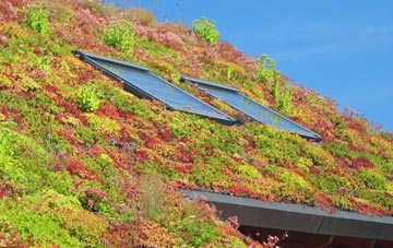 Ottinge living roof systems
