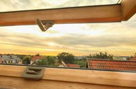 rated Ottinge roof window companies